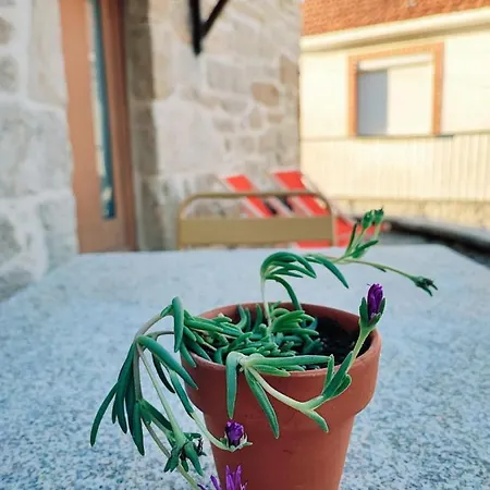 Alloggio per agriturismo Casa Dos Cotos. *