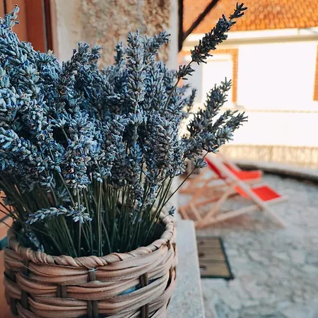 Casa Dos Cotos. Çiftlik konaklama Castro Laboreiro