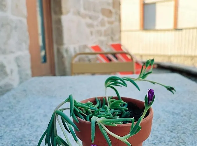 مزرعة للإقامة Casa Dos Cotos. *