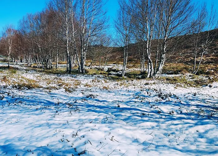 Casa Dos Cotos. * كاسترو لابورايرو