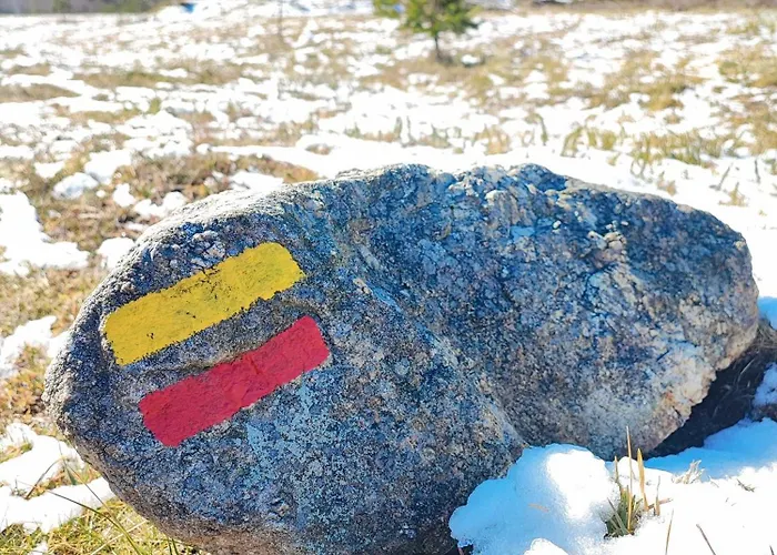 Фермерский дом Casa Dos Cotos. *