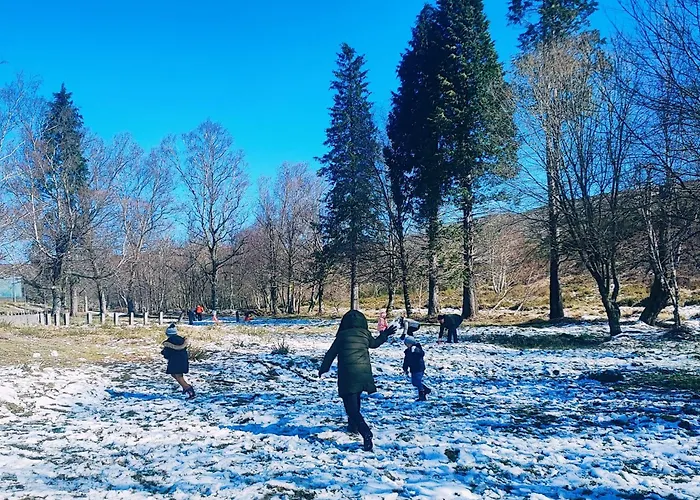Casa Dos Cotos. Фермерский дом Каштру-Лаборейру