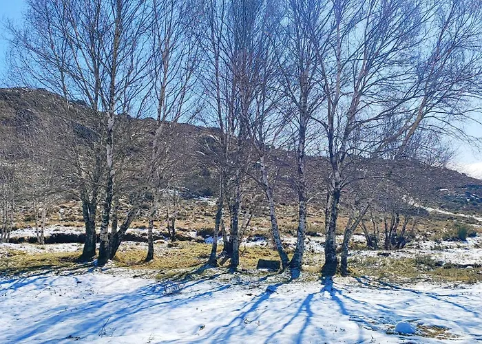 Casa Dos Cotos. Каштру-Лаборейру