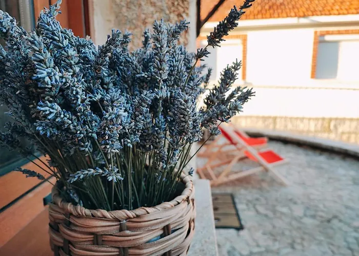 Casa Dos Cotos. مزرعة للإقامة كاسترو لابورايرو